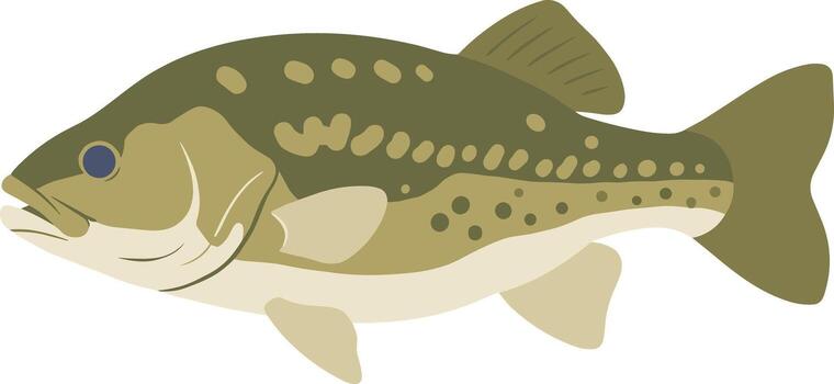Largemouth Bass